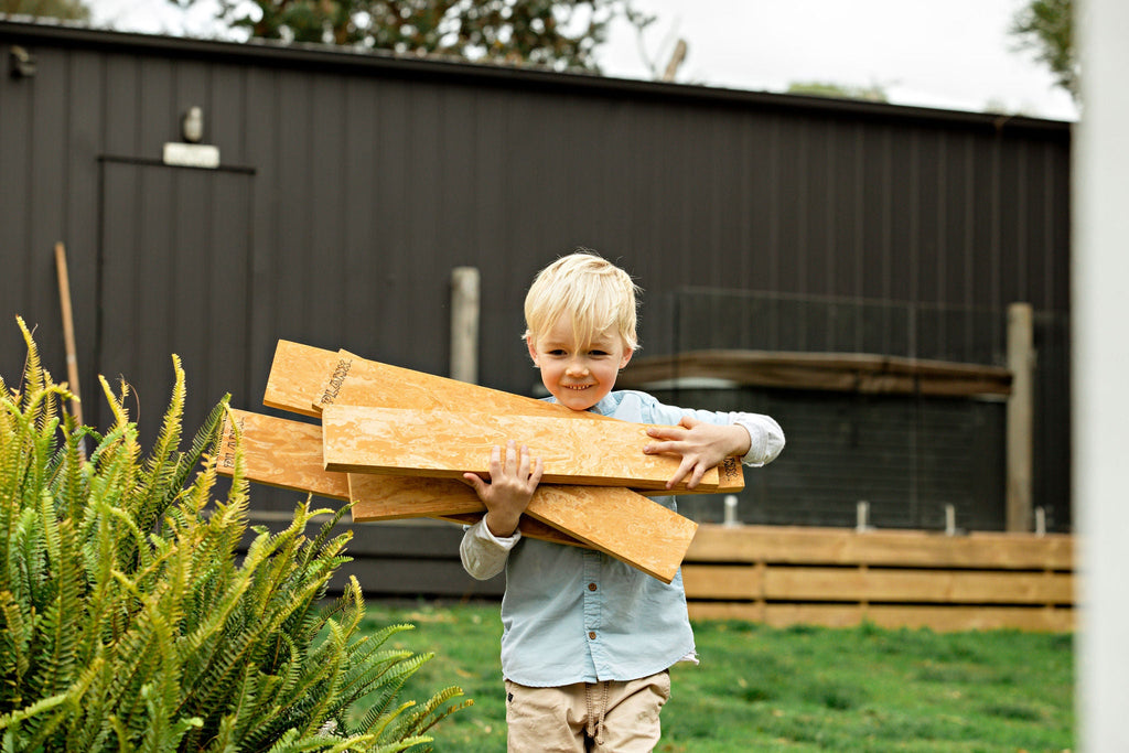 Double Pack of Planx (10)