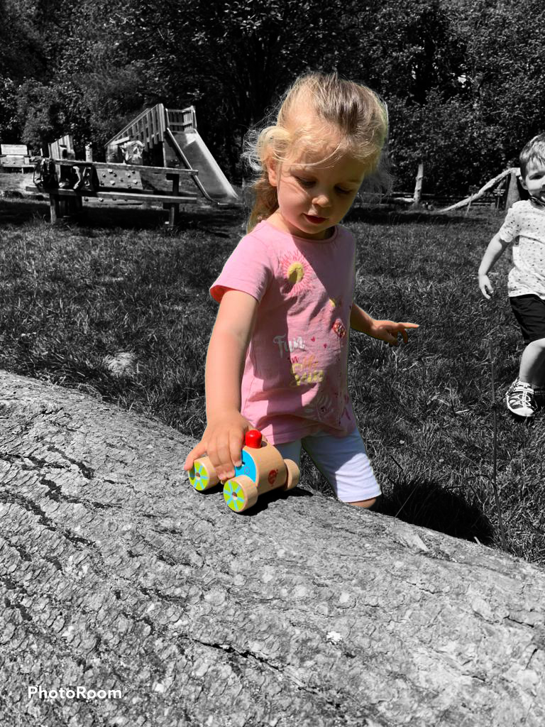 Wooden toy squeaker car