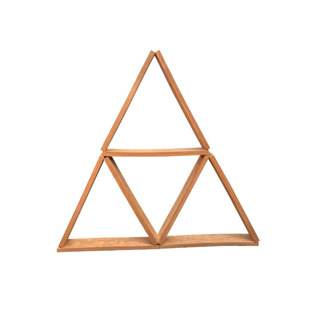 Double Pack of Planx (10)